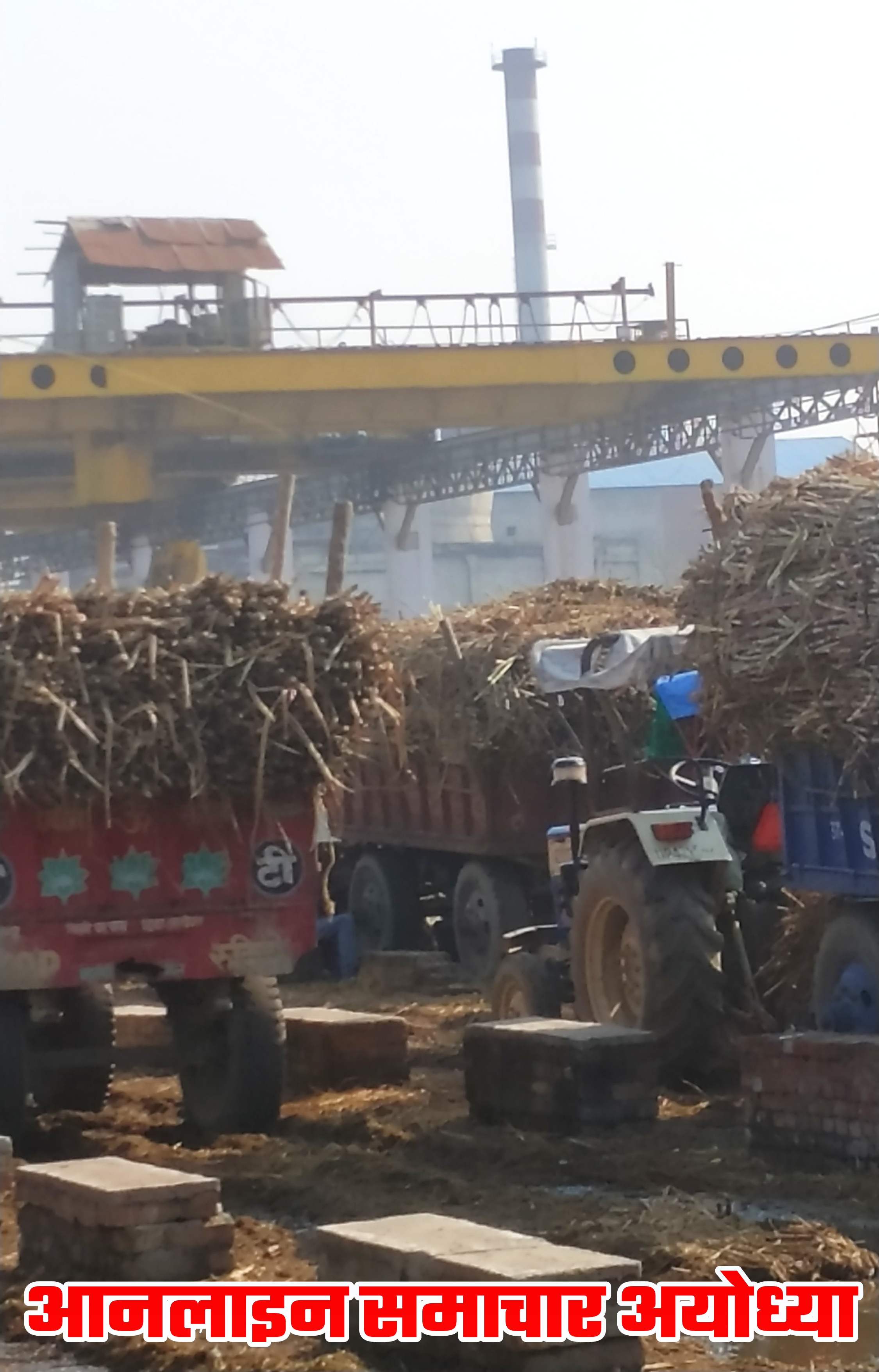 IMG 20190219 062756 - सवा अरब रुपये बाकी, गन्ना पर्ची संकट ऊपर से