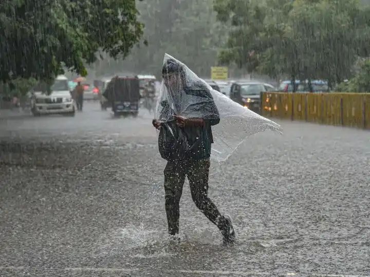 309032034 839685950370468 4131961272628377059 n - यूपी में किसानों के लिए आफत बनी बारिश, फसलें बर्बाद, खेतों में गिरा गन्ना और धान, आलू सड़ने का डर