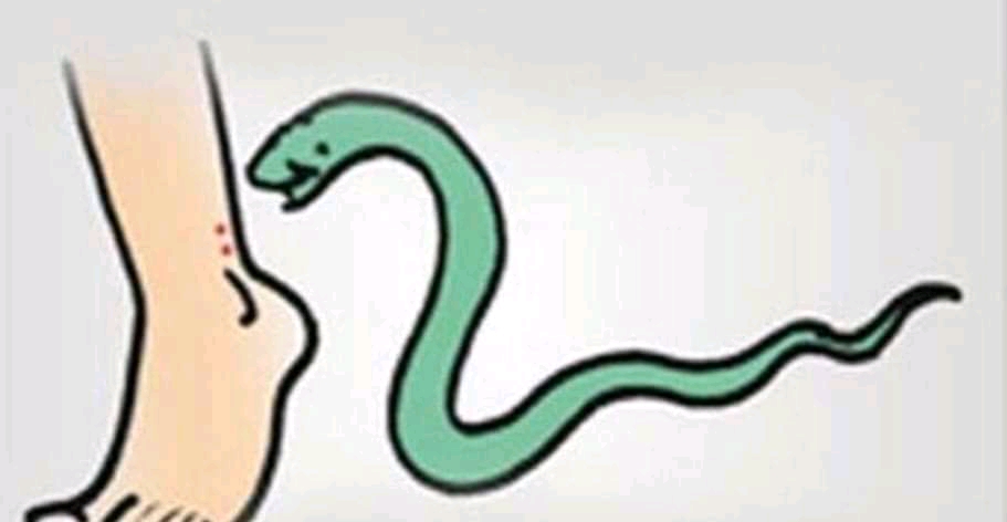 1694944736369 - जहरीले जंतु के डसने से युवती की मौत।