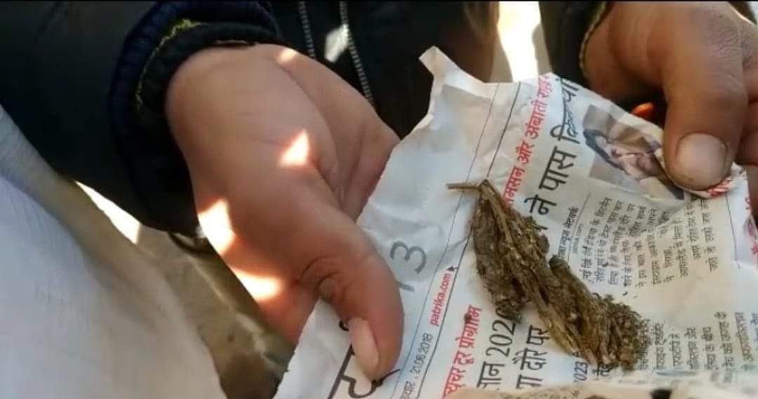 IMG 20240105 180845 367 - गोला बाजार खजुराहट रेलवे फाटक के बगल गांजे की बिक्री की चल रही अवैध दुकान।
