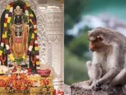 download 2 1 - श्रीरामलला के दर्शन करने स्वयं "हनुमान जी" पहुंचे गर्भगृह, ट्रस्ट ने मंदिर में वानर के आगमन।